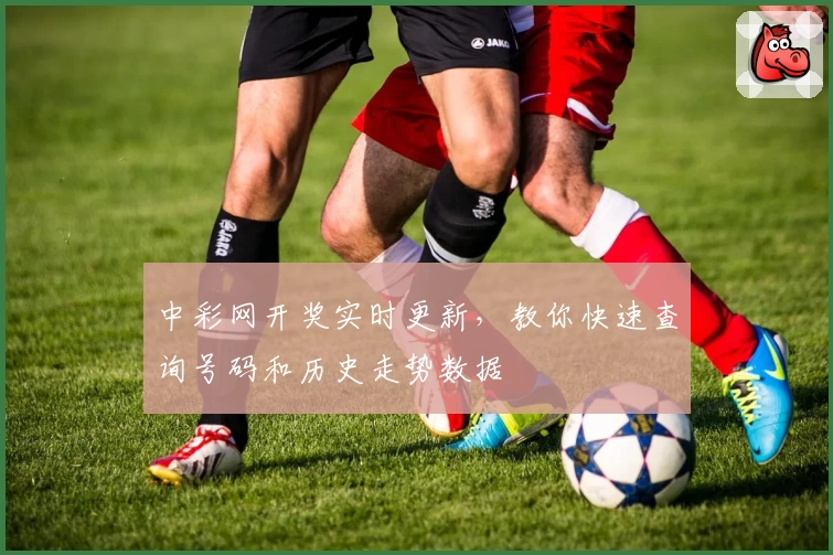 中彩网开奖实时更新,教你快速查询号码和历史走势数据