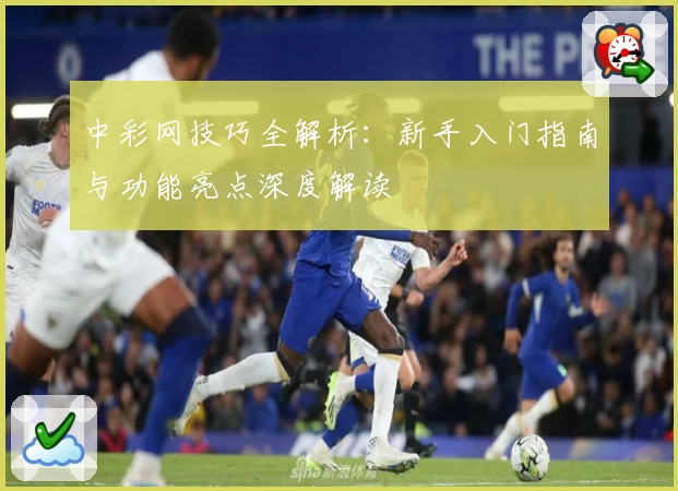 中彩网技巧全解析：新手入门指南与功能亮点深度解读