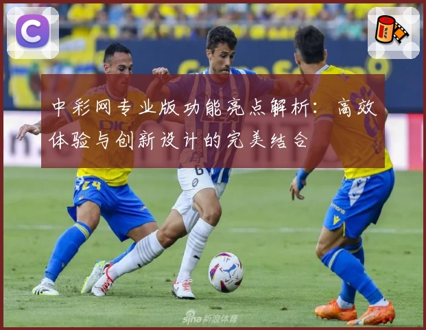 中彩网专业版功能亮点解析：高效体验与创新设计的完美结合