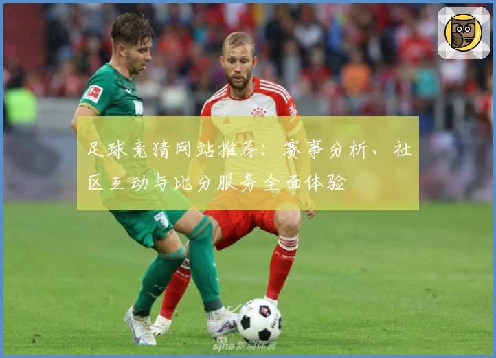 足球竞猜网站推荐：赛事分析、社区互动与比分服务全面体验