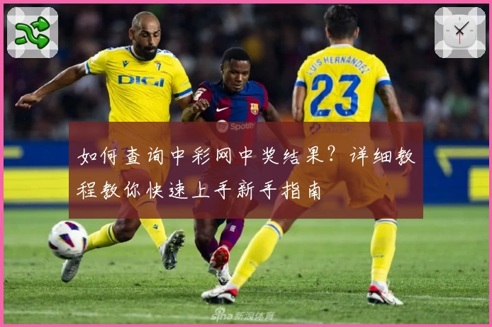 如何查询中彩网中奖结果？详细教程教你快速上手新手指南