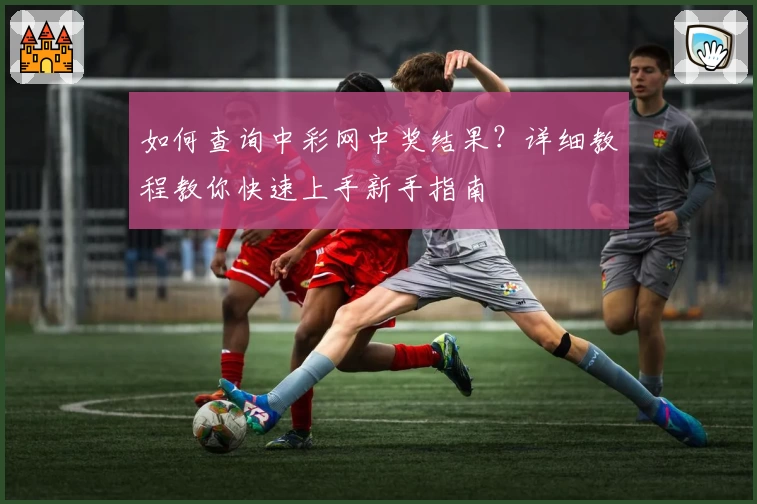 如何查询中彩网中奖结果？详细教程教你快速上手新手指南