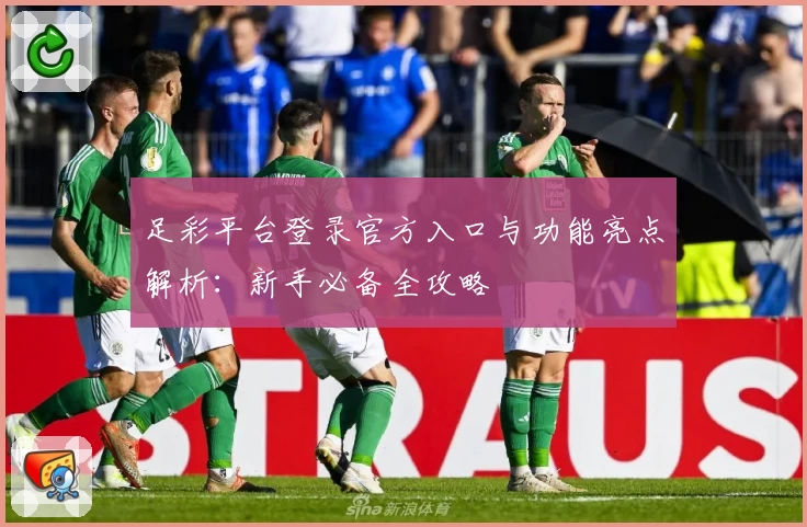 足彩平台登录官方入口与功能亮点解析：新手必备全攻略